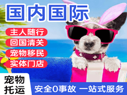 北海福成航空快运国际宠物托运 【国